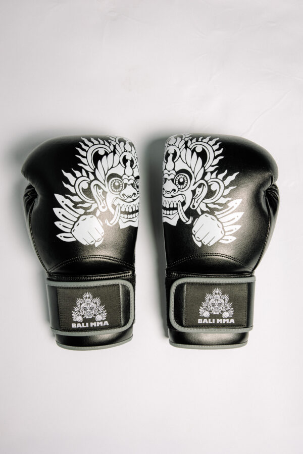 Hook Collab Boxing Gloves