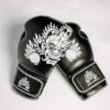 Hook Collab Boxing Gloves
