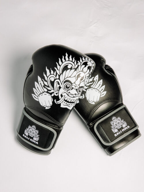 Hook Collab Boxing Gloves