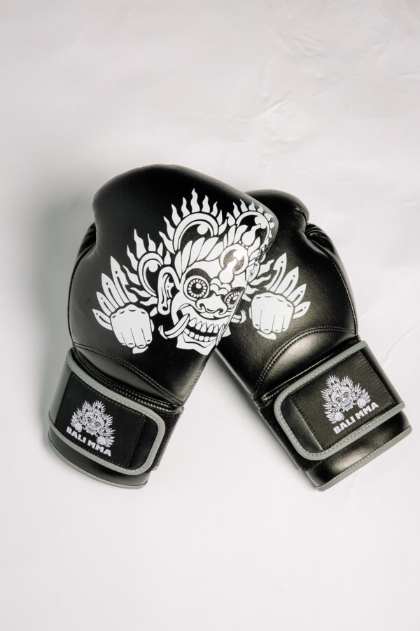 Hook Collab Boxing Gloves
