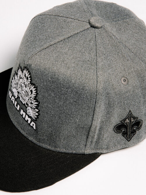 Al Leone Collab SnapBack - Grey